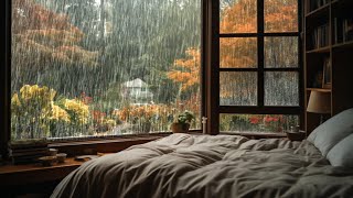 The Beautiful Rain Sounds that Relax Body and Calm Mind Rain Sounds ASMR [upl. by Fortunna]