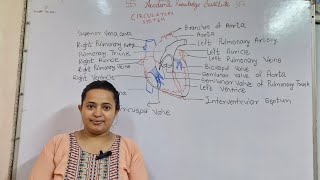 Circulatory System  Double Circulation  Blood Group •IGCSE • ICSE •CBSE •STATE Board [upl. by Ennayhs884]