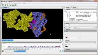 DNASTAR  Predicting Epitopes in Protean 3D [upl. by Acired]