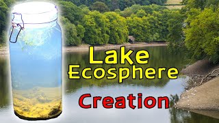 Creating a Lake Ecosphere │ An ECOSYSTEM within a SEALED glass JAR [upl. by Ziom]