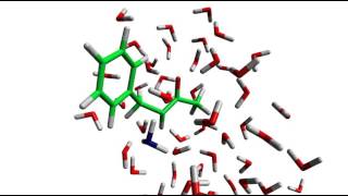 Hydrogenation of Benzylacetate [upl. by Malha421]