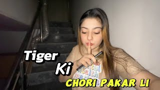 Our day routine 😝🤪 Tiger ki chori pakar li [upl. by Sicard]