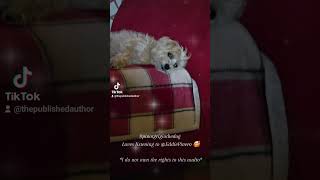 Pinot Grigio loves listening to Yourworldwithin 😁 pets inspiration motivation dog doglover [upl. by Marnia]