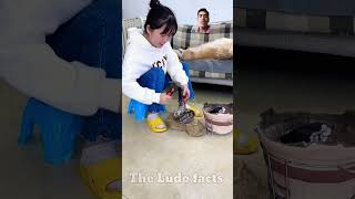 dog doglover amazingfacts funny woodworking arjunvskarnfight cricket karnaattitude comedy [upl. by Ardnaik]