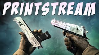 CSGO  Desert Eagle  Printstream Gameplay [upl. by Burgener816]