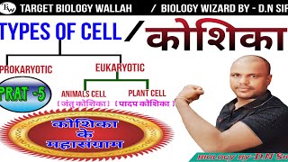 मानव कोशिकाHuman cellजंतु कोशिकाanimal cellपादप कोशिका plant cell cellbiology [upl. by Ielarol772]