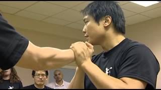 Wing Chun Masterclass Leo Au Yeung [upl. by Hajidahk421]