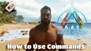 ARK Survival Ascended  How to Use Console Commands and Creative Mode NEW CHANGES [upl. by Llyrrad905]