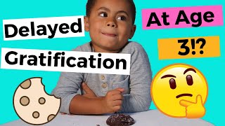 Delayed Gratification  Experiment Can A Toddler Delay Gratification [upl. by Kessler]