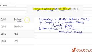 Epimysium perimysium and endomysium occur in  12  STRUCTURAL ORGANISATION IN ANIMALS  BIOL [upl. by Lamprey]