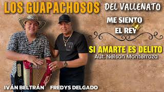 Si amarte es delito  Los Guapachosos del Vallenato [upl. by Menendez]