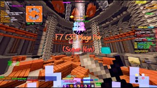 F7 HypeNon POV  Hypixel Skyblock [upl. by Beare429]