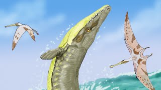 Dakosaurus The DinosaurHeaded Marine Crocodile [upl. by Imeon428]