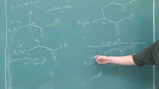 Organic chemistry Amino acids and peptides 2 [upl. by Neeron]