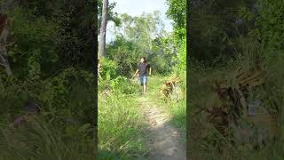 Outdoorfood Very Simple and Useful Sugar cane in Forest survival camping bushcraft outdoorfood [upl. by Selway]