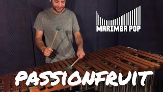 Passionfruit Marimba Pop Cover  Drake [upl. by Towny]