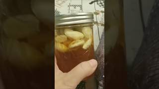 What You Need to Make Fermented Garlic Honey [upl. by Napas642]