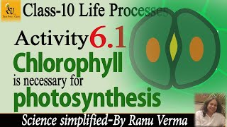 Activity 61  Class 10 Biology  Life Processes  CBSE NCERT Science [upl. by Erda]