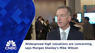 Widespread high valuations are concerning says Morgan Stanleys Mike Wilson [upl. by Ailis]