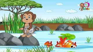 Baby Monkey Kai get Punished for Misbehaving at the River Shorts [upl. by Eugnimod]