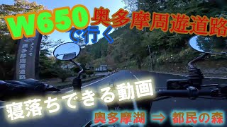 【KAWASAKI W650】バイクで行く奥多摩周遊道路 ツーリング 奥多摩湖→都民の森編 紅葉は見れる？ [upl. by Leinaj210]