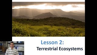 Lesson 542  Terrestrial Ecosystems [upl. by Ronn873]