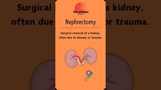 Nephrectomy The Essentials of Kidney Removal [upl. by Carita]