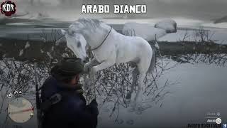 RDR2 ITA  CAVALLO ARABO BIANCO  Ecco dove trovarlo [upl. by Edmond]