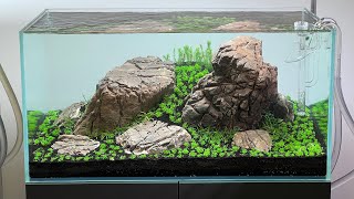 MINIMALIST IWAGUMI AQUASCAPE  DEEP DIVE  500 ROCKS [upl. by Andrien]