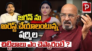 Producer Chittibabu Reaction On YS Sharmila Sensational Comments on YS Jagan  Telugu Popular TV [upl. by Prescott417]