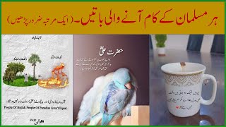 Islamic Video  Islamic Quotes  Golden Words in Urdu  Golden Words About Life Success Quotes [upl. by Aix]