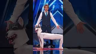 AI got talent 06 ai agt amazing talent animals magic show funny scary americangottalent [upl. by Adnarb]