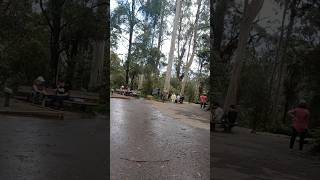 Stunning Views at the Summit of 1000 Steps  Dandenong Ranges Victoria [upl. by Mitchell]