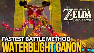 The EASIEST amp FASTEST Way to Defeat Waterblight Ganon in Zelda Breath of the Wild [upl. by Chery]