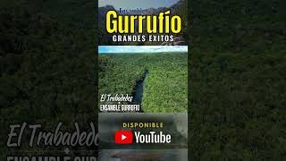 Ensamble Gurrufio Grandes Exitos venezuela venezolanos musicavenezolana musicainstrumental [upl. by Notnelc]