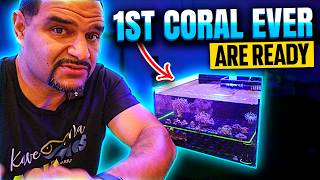 You Wont Believe the SURPRISE After Adding Coral 24 hours later [upl. by Park]