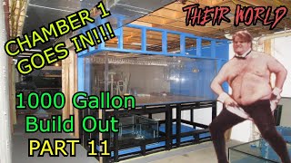 HUGE AquariumTank 1000 Gallon Aquarium Build Out Part 11 CHAMBER 1 GOES IN [upl. by Slorac50]