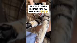 Além de roubar o namorado da Márcia ainda é possessiva🐱😸 [upl. by Vaas]