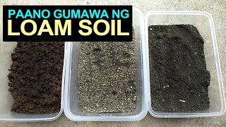 How To Make Loam Soil I Paano Gumawa Ng Loam Soil [upl. by Kirchner998]