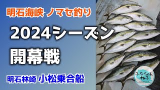 【青物ノマセ釣り】 シーズン到来！明石海峡でハマチ＆メジロの強烈な引きを堪能！ [upl. by Eillo]