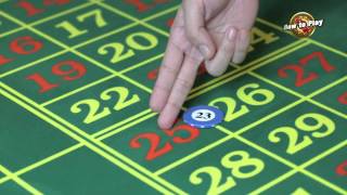 How to Play Roulette [upl. by Teeter]