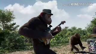 MONKEY main gitar dan drum Bikin ngakak kalu nonton video ini LAGU ACEH TOT TOT JAGONG [upl. by Stanwin45]