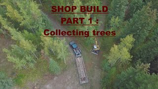 Shop Build Series Part 1 TreesPoles for my Pole Barn Shop  Cuttin down and Haulin away 100 Trees [upl. by Iel158]