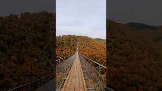 🍁The Geierlay Bridge— Germany 🇩🇪 🍂 [upl. by Gretta380]