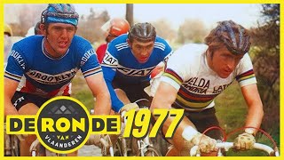 All against MERCKX  Tour of Flanders 1977  🇧🇪DE RONDE VAN VLAANDEREN🇧🇪 [upl. by Renner]