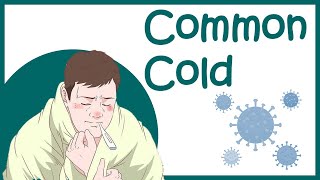 Common cold  Rhinitis amp Rhinovirus  symptomstreatment and recovery [upl. by Placida449]