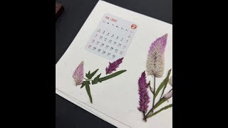 Pressed Flower Calendar New Year CalendarFebruaryPhoenix Tail 2月凤尾草 SD 480p [upl. by Skippy932]