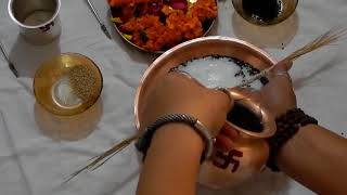 Pitru Paksha Puja Vidhi at Home Tarpan In Gujarati  Guide For How to Do Tarpan [upl. by Ezeerb29]