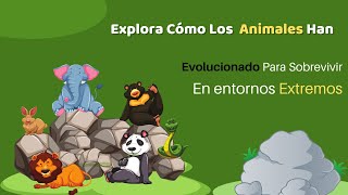 quot¡Descubre las Adaptaciones Animales Más Increíbles que Te Dejarán Asombradoquot [upl. by Eislrahc259]