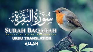 Beautiful Surah Recitation  Surah Baqarah with Urdu Translation [upl. by Eedak]